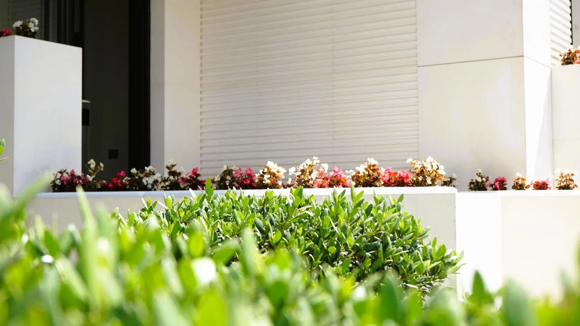 Arbnor Boutique Hotel 地拉那